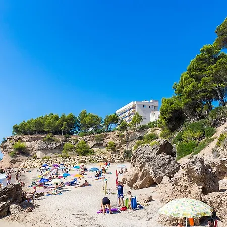 Arenda Pino Alto Portofino